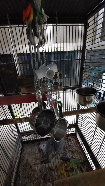 Hanging Stainless Steel Cup Chain Bird Toy
