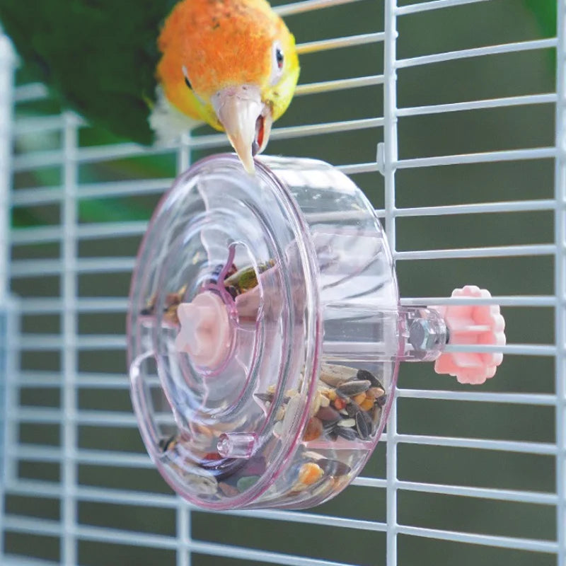Acrylic Foraging Wheel Toy for Birds | Bon Bon Bird Toys