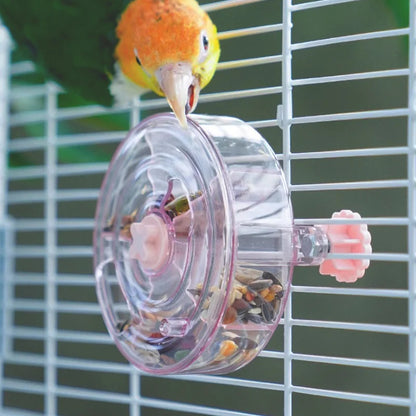 Acrylic Foraging Wheel Toy for Birds | Bon Bon Bird Toys