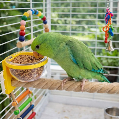 Cage-Mount Feeder Cup with Perch