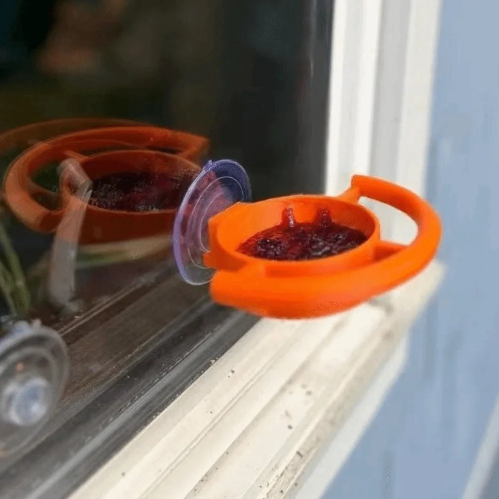 Teacup Window Bird Feeder with Suction Cup | Bon Bon Bird Toys