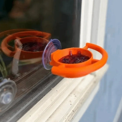 Teacup Window Bird Feeder with Suction Cup | Bon Bon Bird Toys