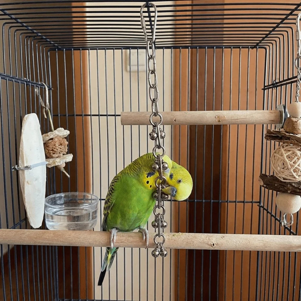 Stainless Steel Chain Toy for Birds | Bon Bon Bird Toys