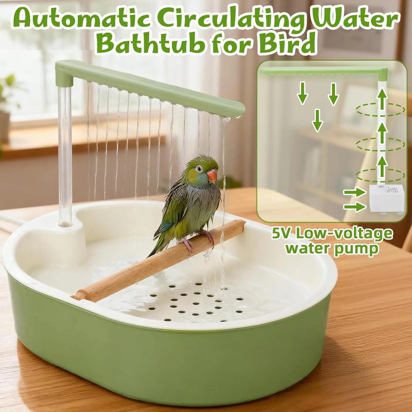 Automatic Circulating Bird Bath with Filter | Bon Bon Bird Toys