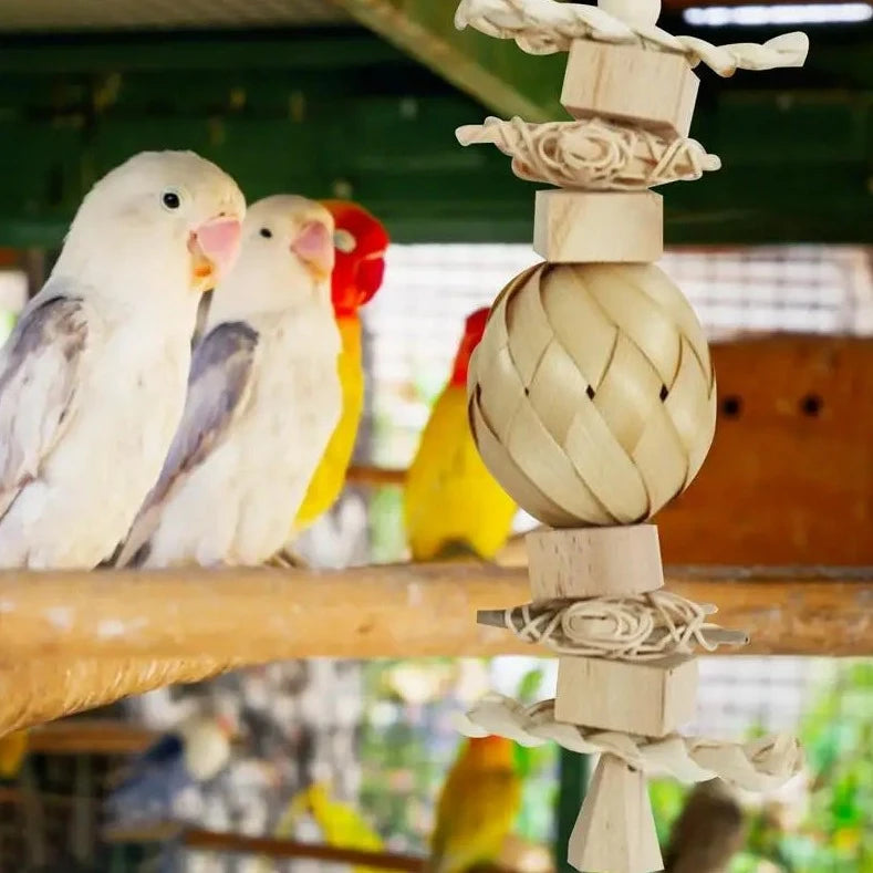 Natural Chewing Bird Toy