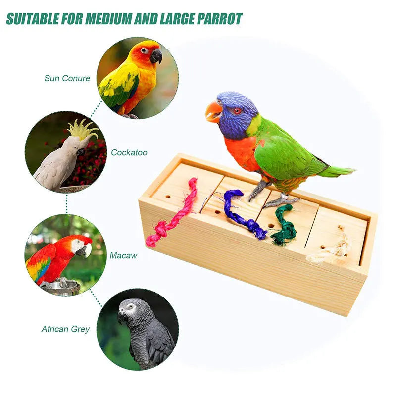 Bird Puzzle Training Foraging Box Set | Bon Bon Bird Toys