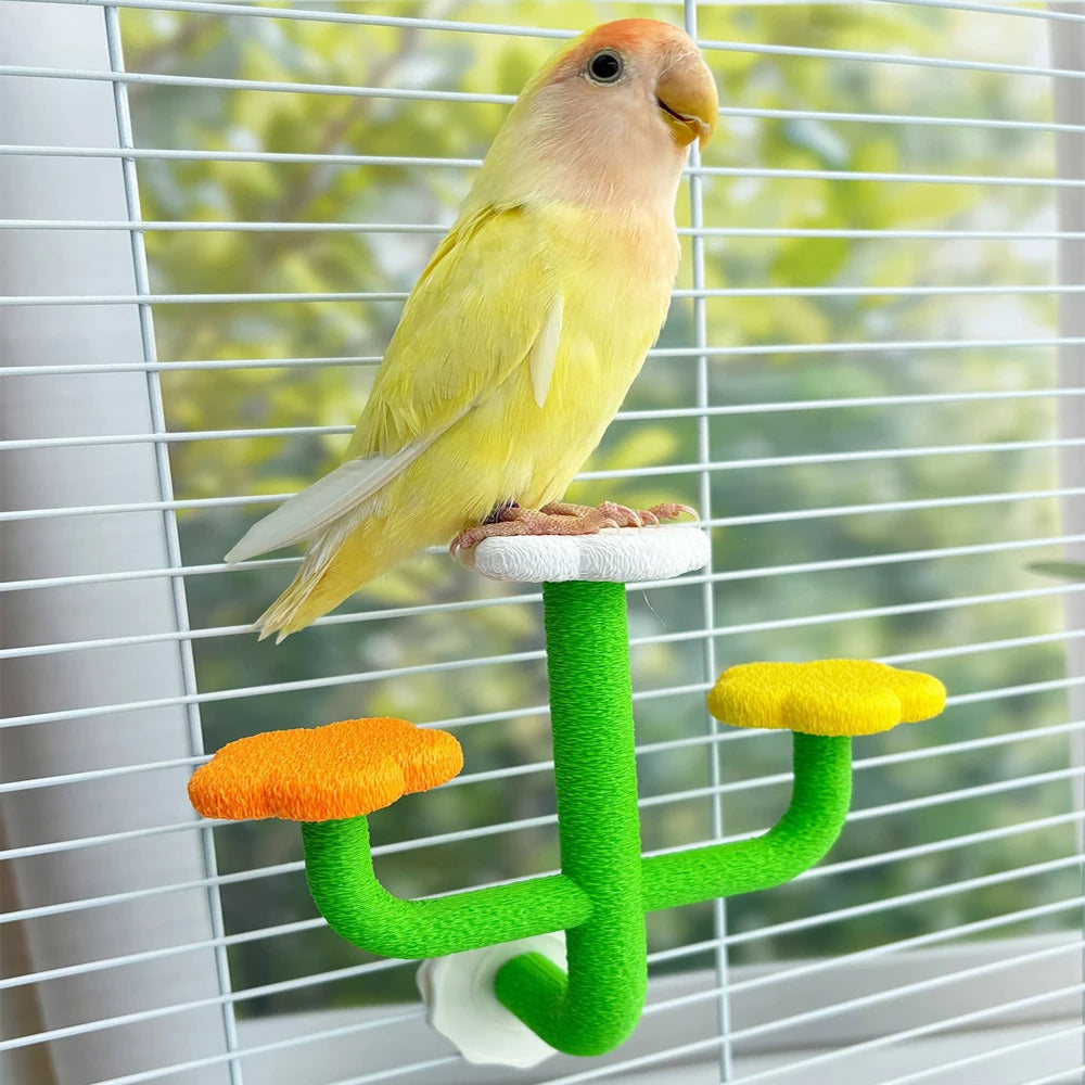 Cactus Bird Perch Stand with Flower Platforms | Bon Bon Bird Toys