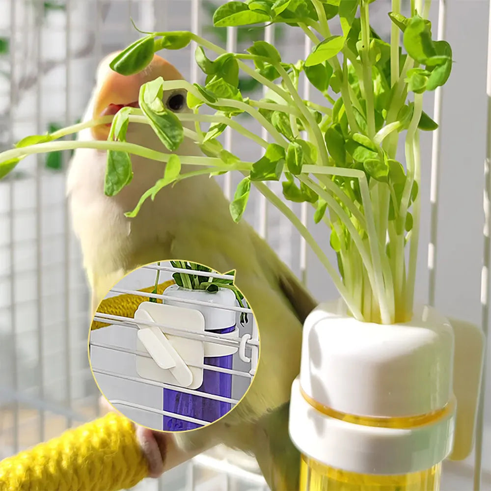 Cage-Mount Fresh Greens Holder