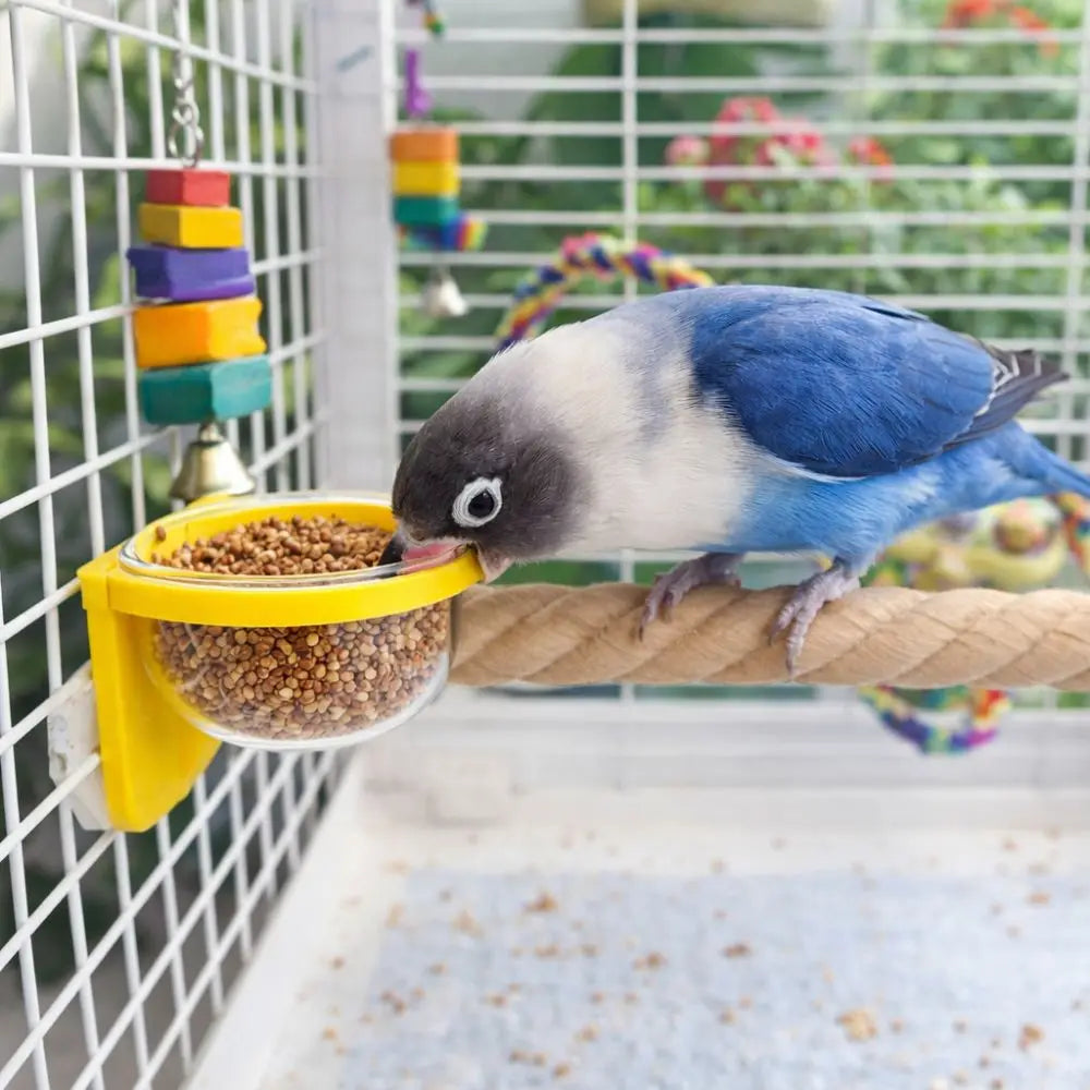 Cage-Mount Feeder Cup with Perch