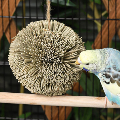 Hanging Natural Grass Ball Bird Chew Toy | Bon Bon Bird Toys