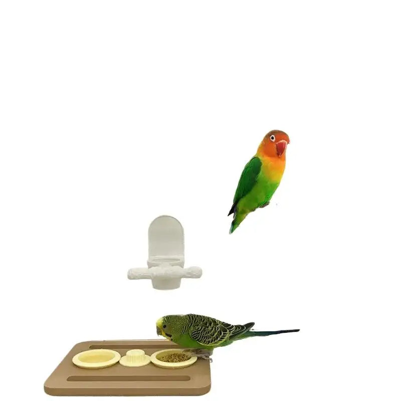 PLA Bird Feeder Bowls & Hanging Trays | Bon Bon Bird Toys