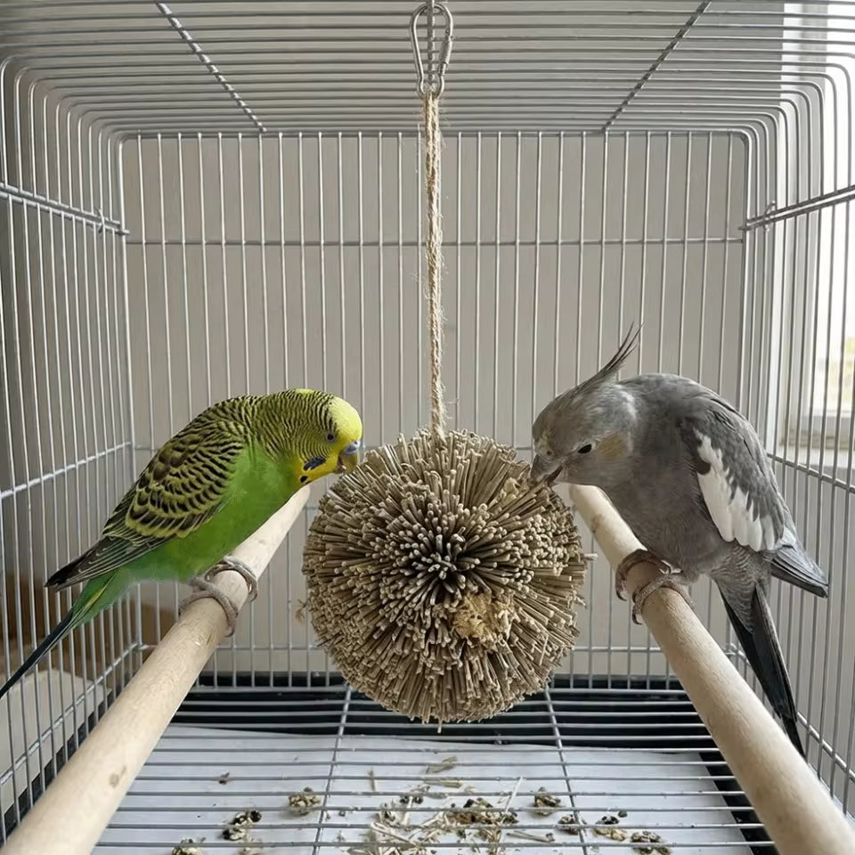 Hanging Natural Grass Ball Bird Chew Toy | Bon Bon Bird Toys