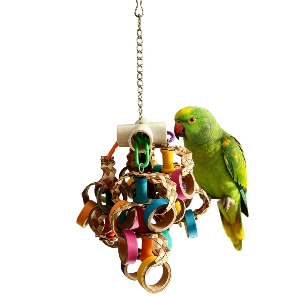 Colorful Paper Ring Shredding Toy Set | Bon Bon Bird Toys