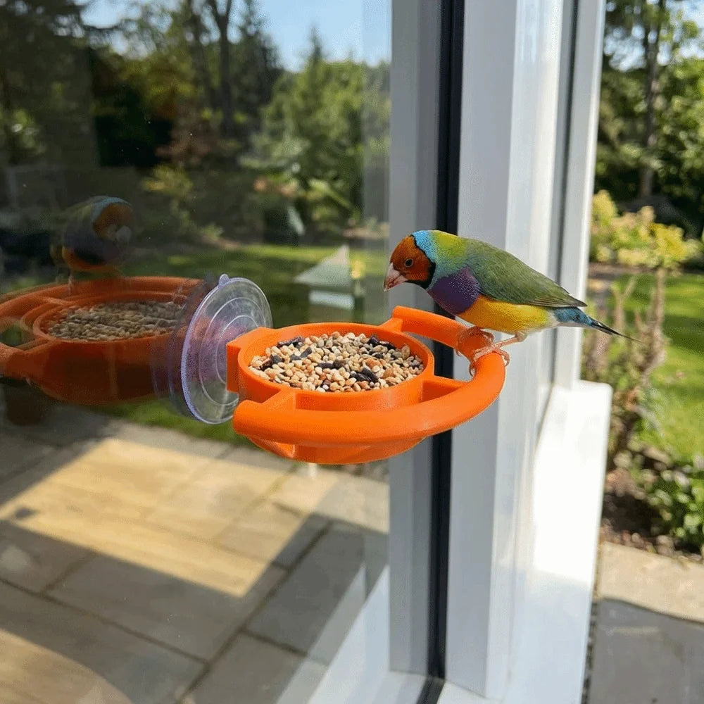 Teacup Window Bird Feeder with Suction Cup | Bon Bon Bird Toys