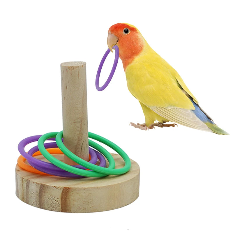 Wooden Parrot Training Puzzle Toy | Bon Bon Bird Toys