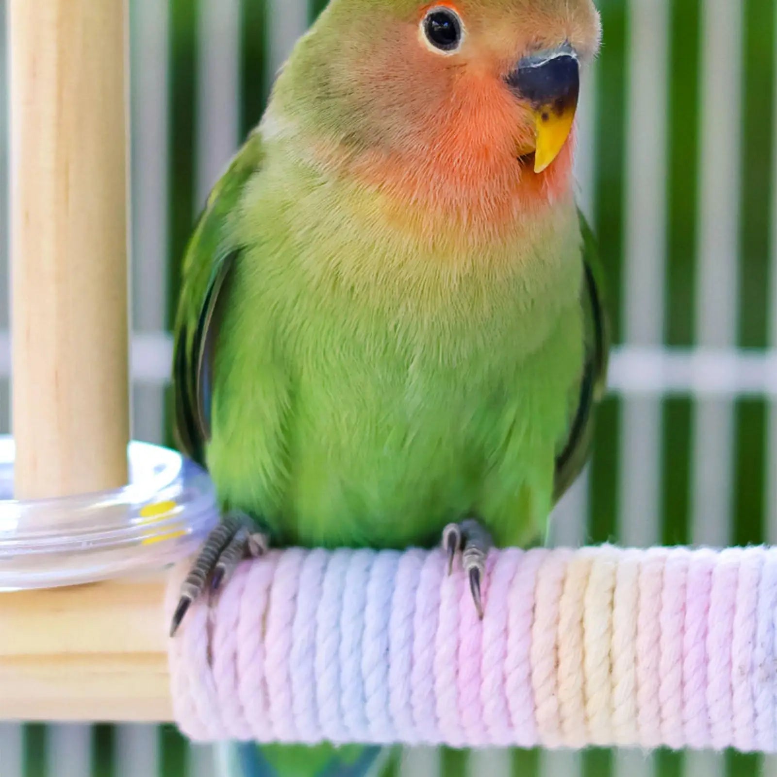 Rotating Wooden Perch Swing for Birds | Bon Bon Bird Toys