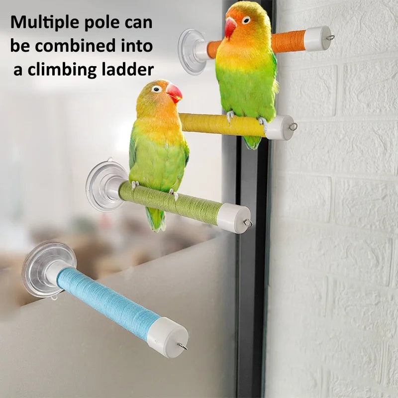 Suction Cup Window Perch for Birds | Bon Bon Bird Toys