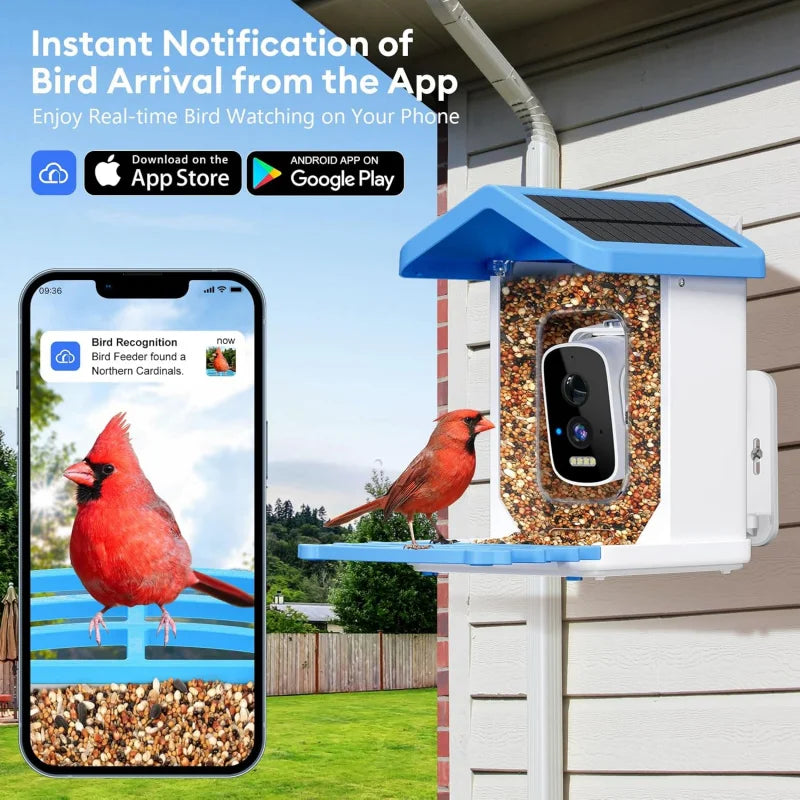 Smart Bird Feeder with AI Camera | Bon Bon Bird Toys