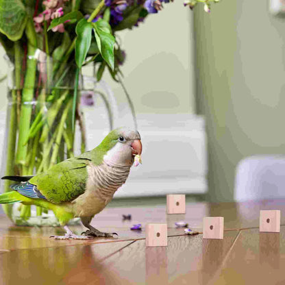 Natural Wood Bird Chew Blocks 100 Pack for DIY Bird Toys