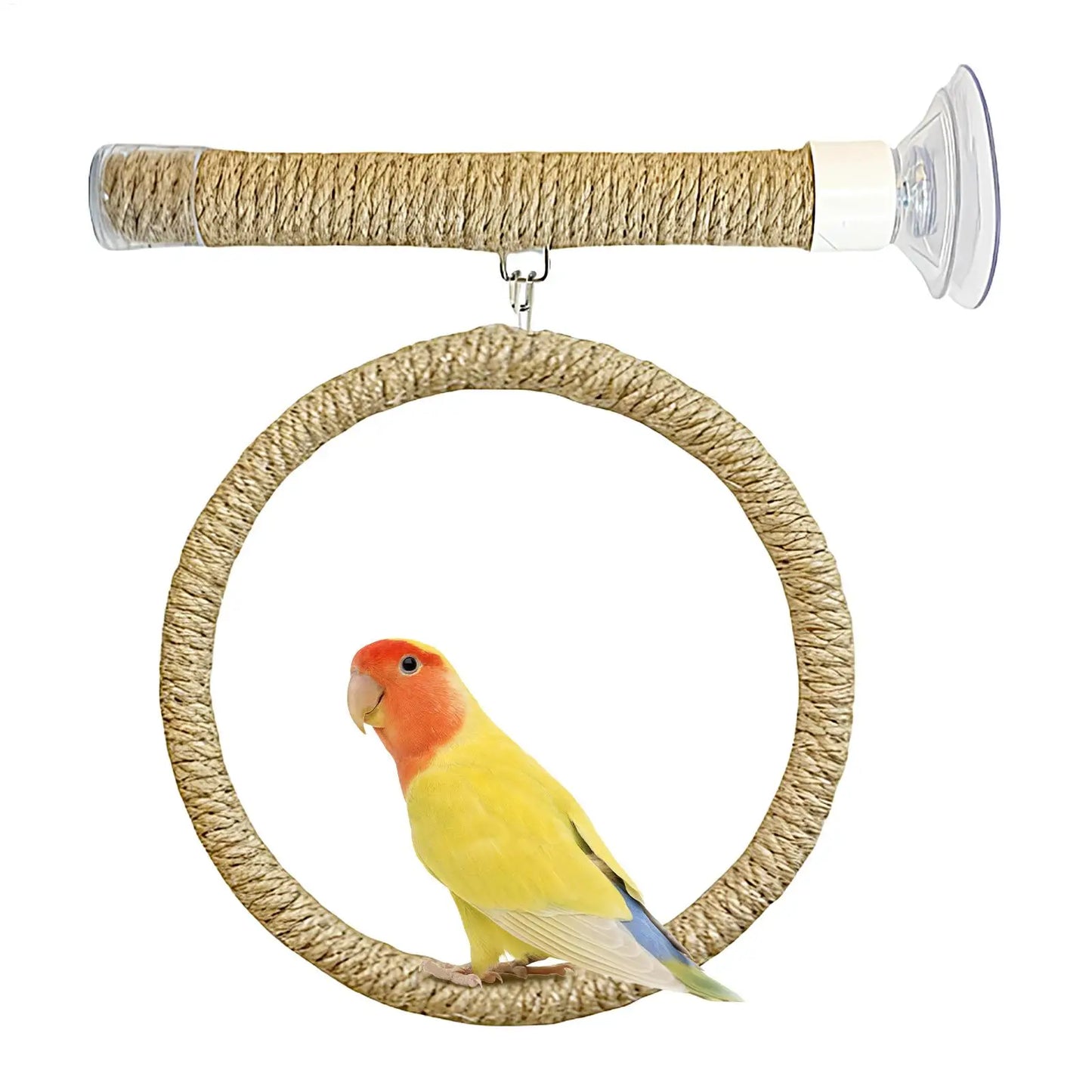Jute Rope Suction Cup Window Perch for Birds | Bon Bon Bird Toys