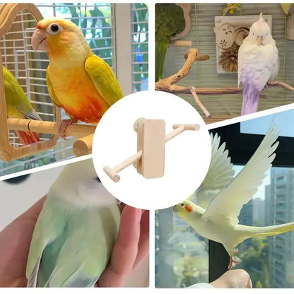 A collage showing a bird perch accessory in a circular inset, with multiple real-world photos of different birds perched on wooden branches and indoors near windows.