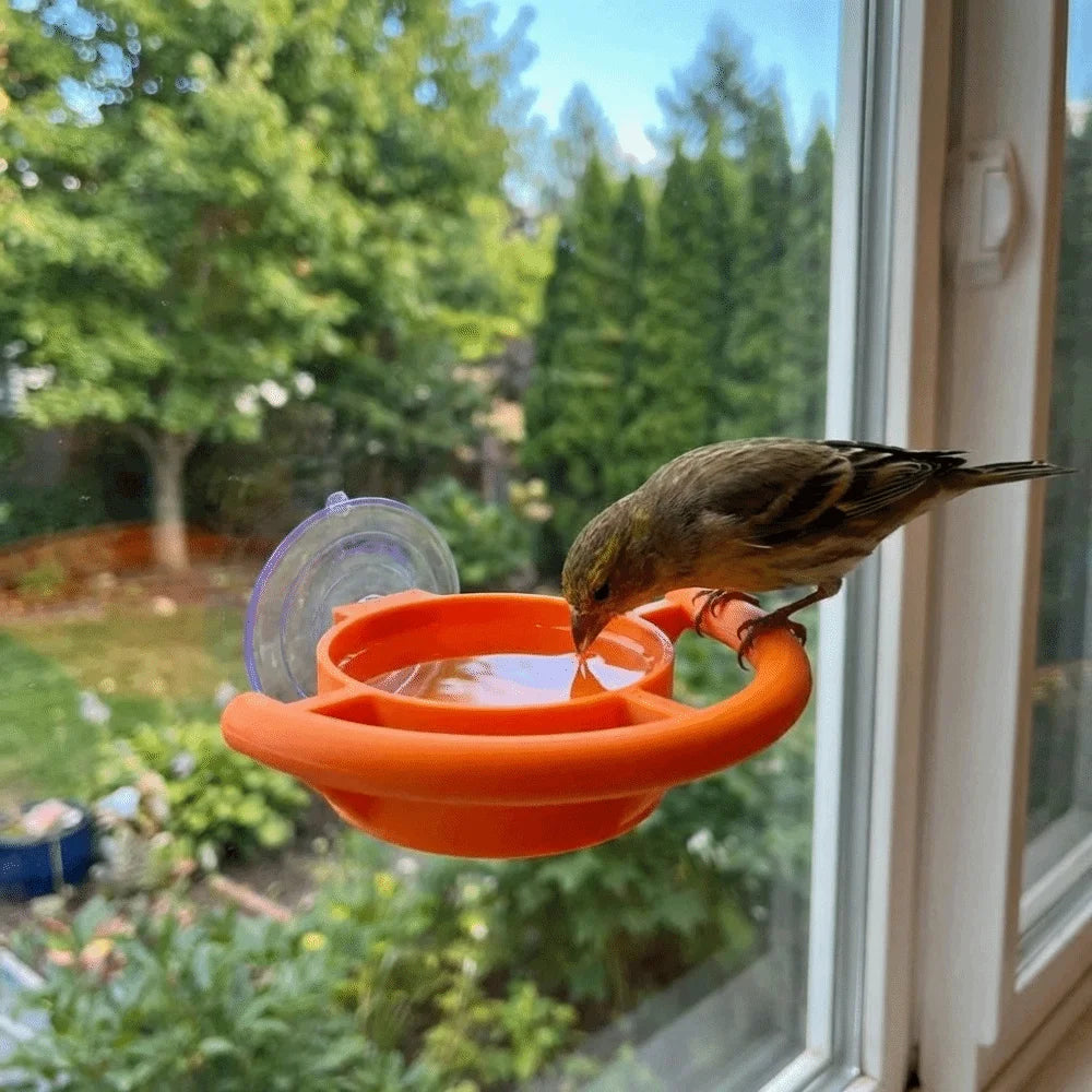 Teacup Window Bird Feeder with Suction Cup | Bon Bon Bird Toys