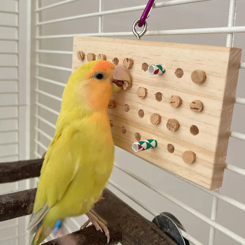 Wooden Plug Chew Board for Birds | Bon Bon Bird Toys