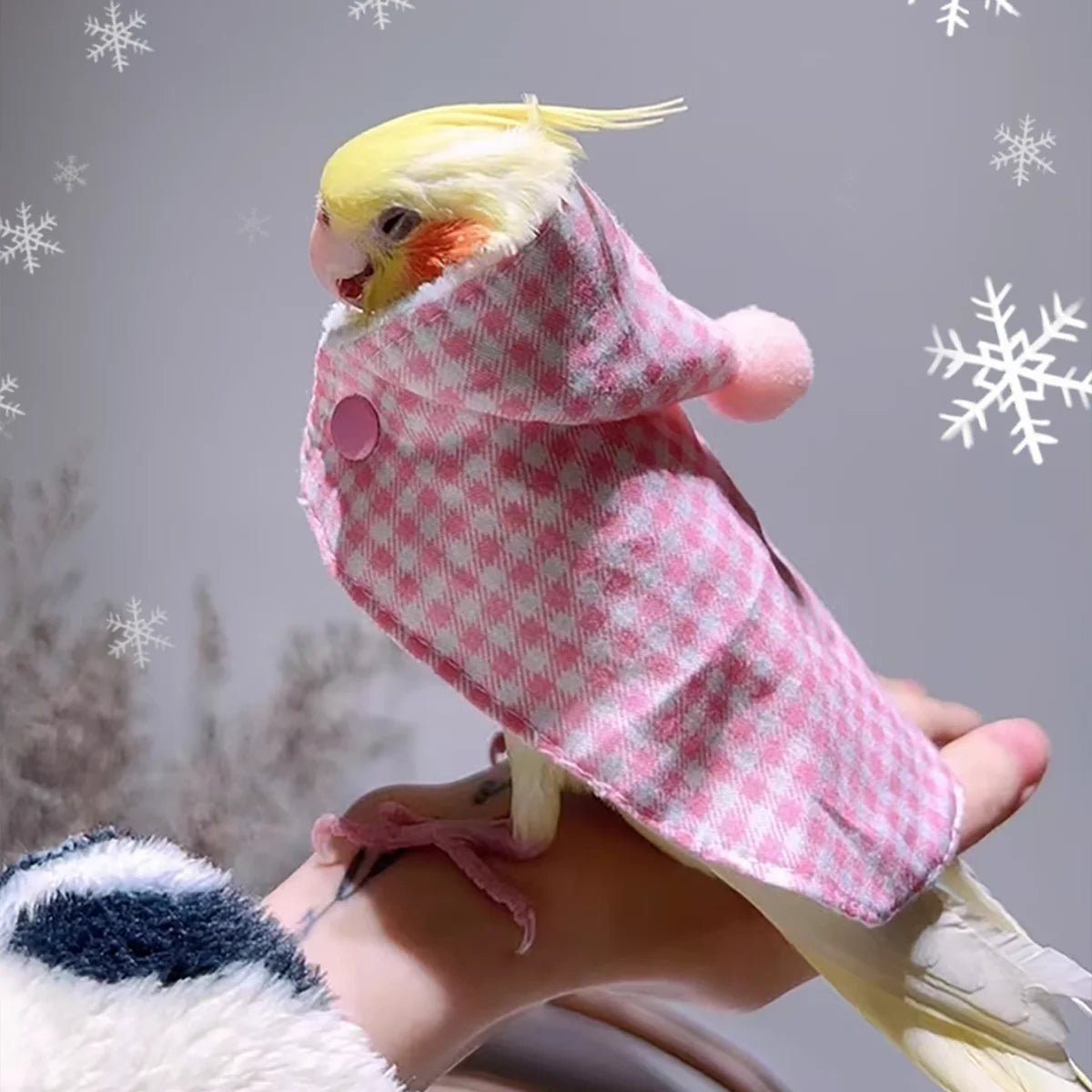 Bird Coat with Hood | Bon Bon Bird Toys