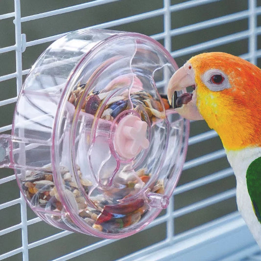 Acrylic Foraging Wheel Toy for Birds | Bon Bon Bird Toys