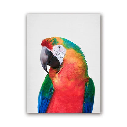 Parrot and Cockatoo Canvas Wall Art Print 