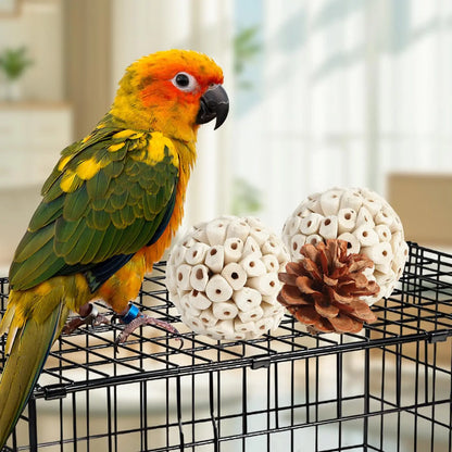 Natural Foraging Box for Birds | Bon Bon Bird Toys