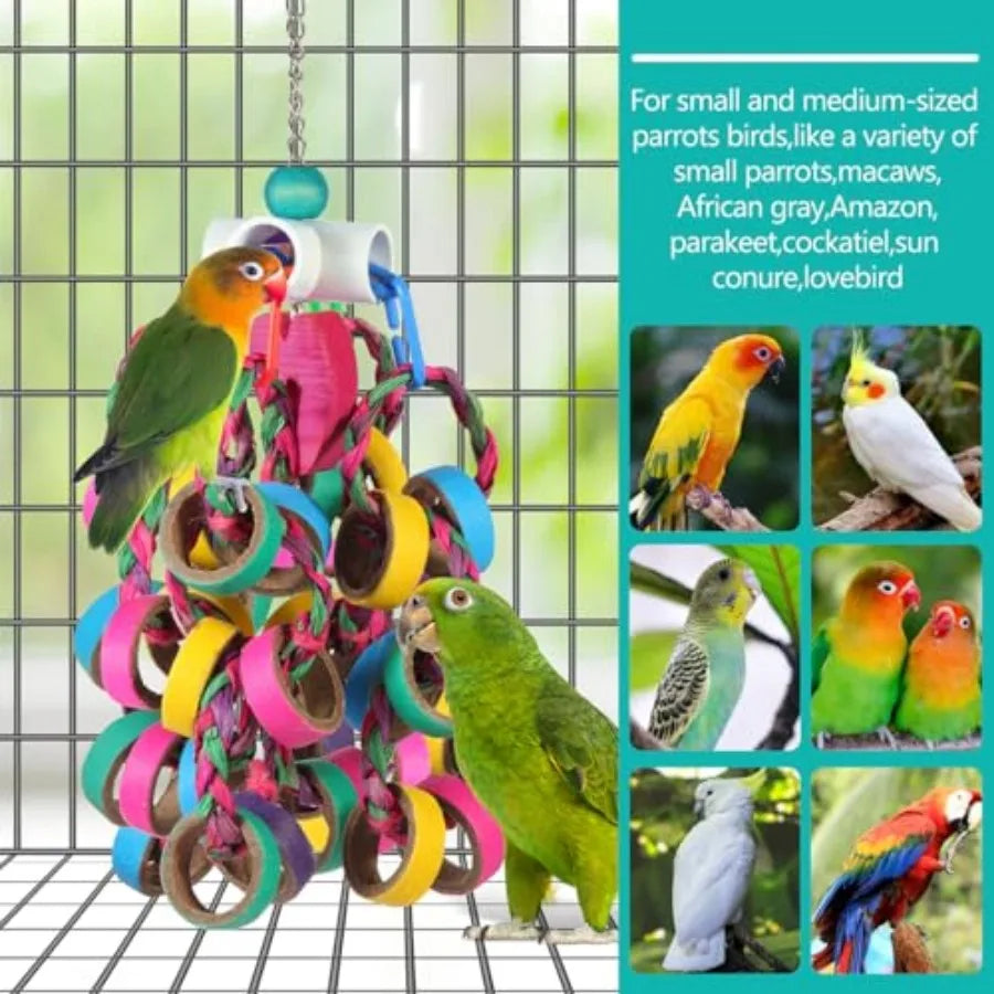 Colorful Bagel Ring Cascade Chew Toy for Parrots | Bon Bon Bird Toys