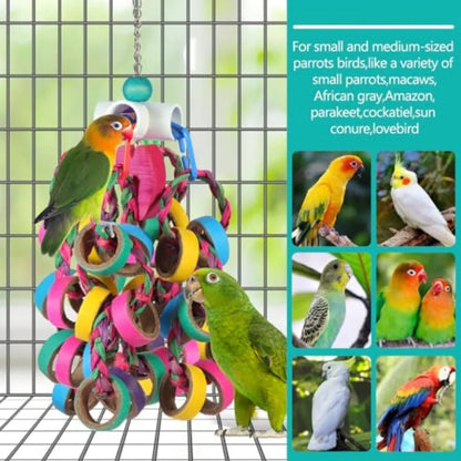 Colorful Bagel Ring Cascade Chew Toy for Parrots | Bon Bon Bird Toys