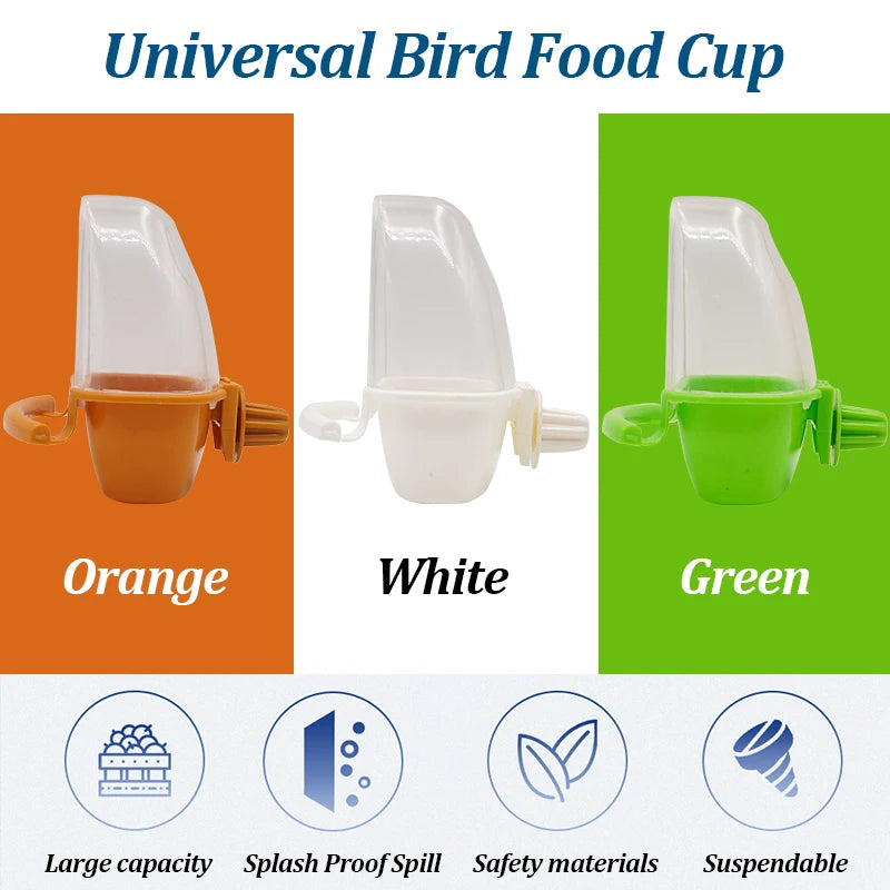 Dome Lid Bird Feeder and Bath with Perch Pole