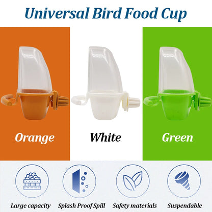 Dome Lid Bird Feeder and Bath with Perch Pole