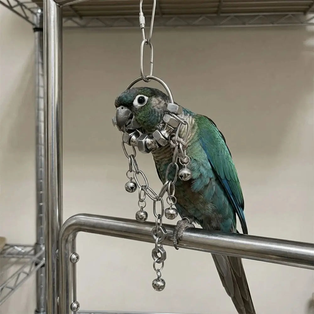 Stainless Steel Chain Bell Toy for Birds