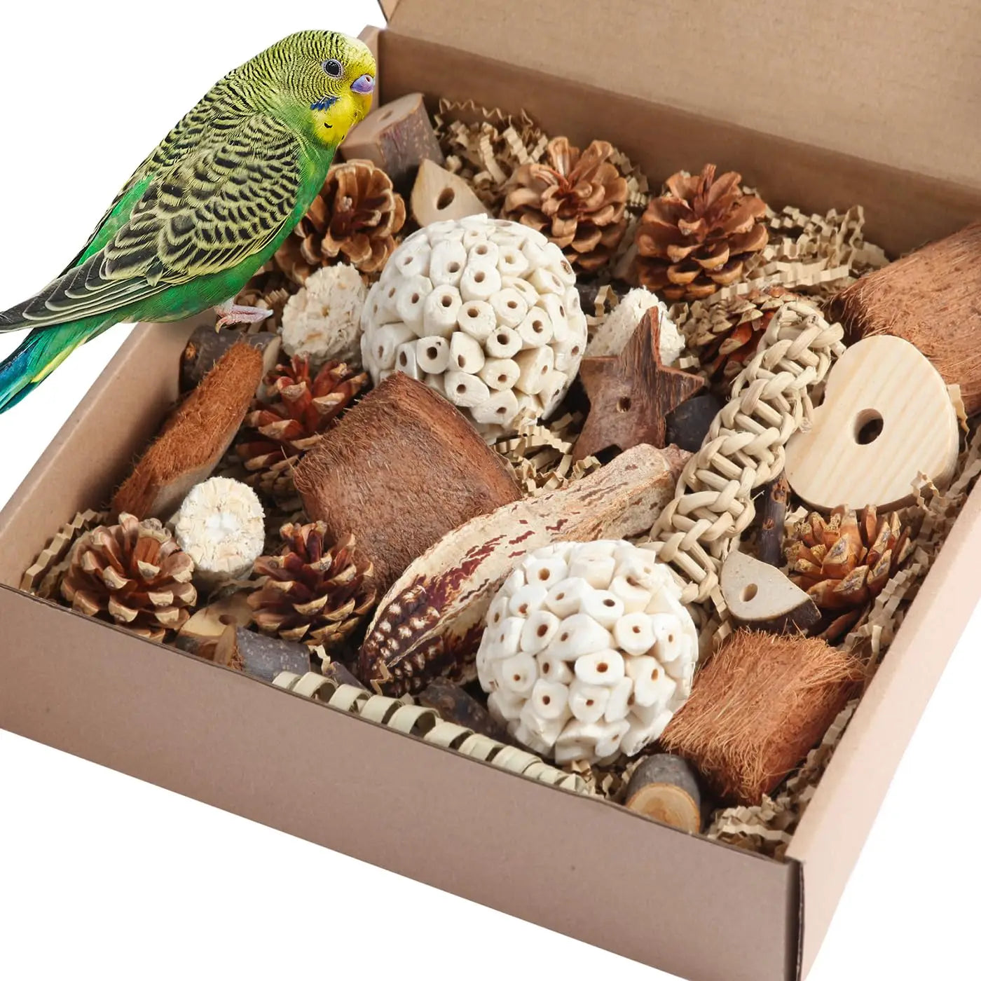 Natural Foraging Box for Birds | Bon Bon Bird Toys
