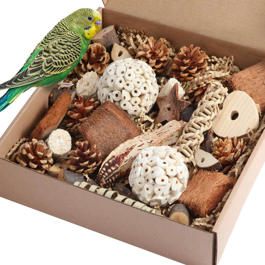 Natural Foraging Box for Birds | Bon Bon Bird Toys