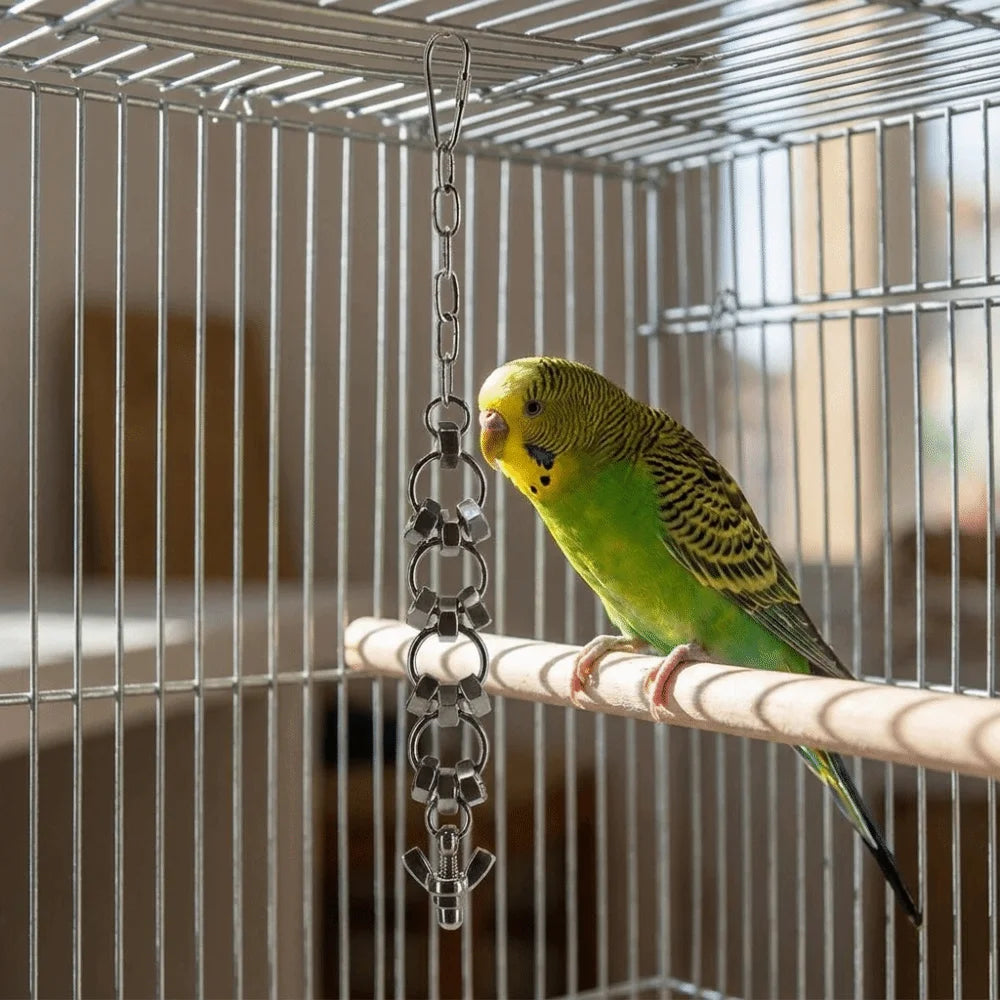 Stainless Steel Chain Toy for Birds | Bon Bon Bird Toys