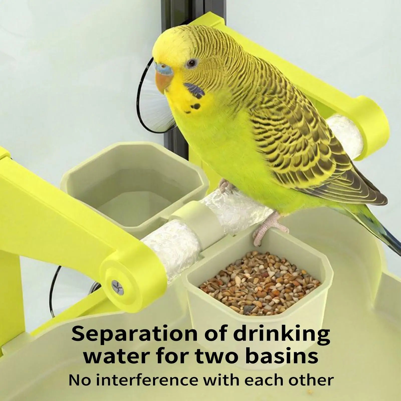 Suction Cup Window Perch & Feeding Station with Waste Basin | Bon Bon …