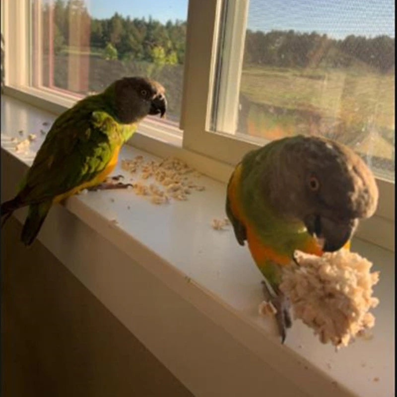 Natural Sola Ball Bird Chew Toy | Bon Bon Bird Toys