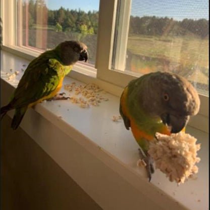 Natural Sola Ball Bird Chew Toy | Bon Bon Bird Toys