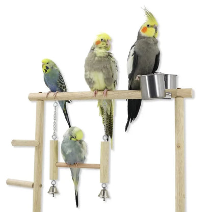 Wooden Bird Play Gym with Ladder, Swing & Feeding Cups | Bon Bon Bird Toys