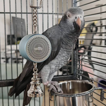 Voice Recording Talking Trainer Toy for Birds | Bon Bon Bird Toys