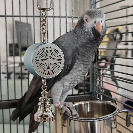 Voice Recording Talking Trainer Toy for Birds | Bon Bon Bird Toys