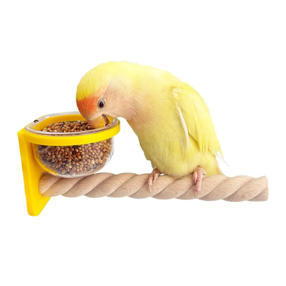 Cage-Mount Feeder Cup with Perch