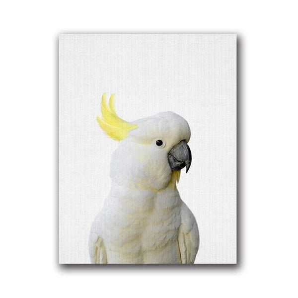 Parrot and Cockatoo Canvas Wall Art Print