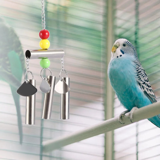 A blue and white budgerigar perched on a metal perch inside a bird cage, next to a hanging bird toy with colorful beads and silver metal tubes.