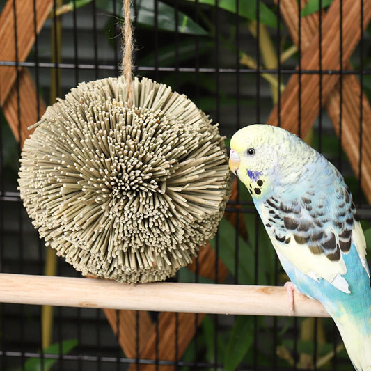 Hanging Natural Grass Ball Bird Chew Toy | Bon Bon Bird Toys