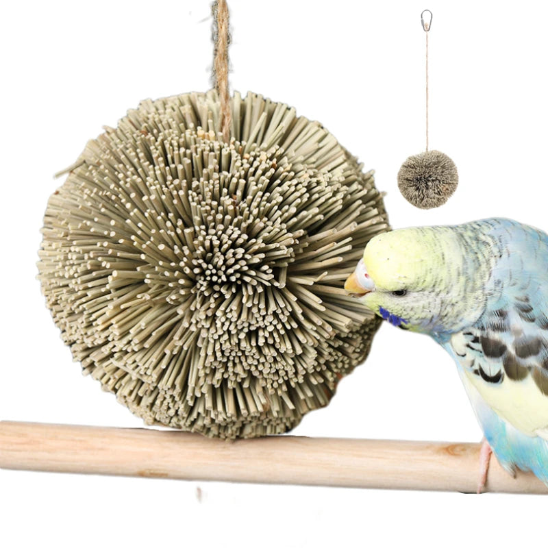 Hanging Natural Grass Ball Bird Chew Toy | Bon Bon Bird Toys